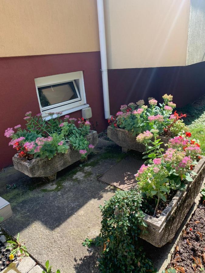 Konig Apartman Hévíz المظهر الخارجي الصورة